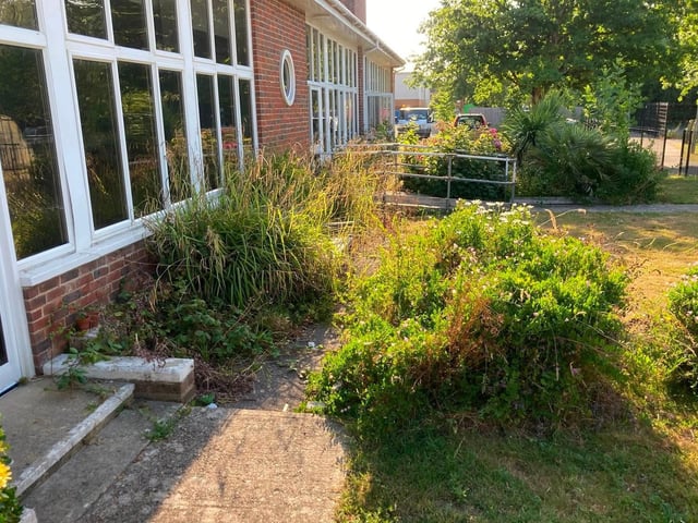 Before the Paul Wicks Garden Services free job