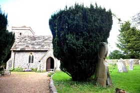 St Peter's Church, Upper Beeding, has 36 yew trees which the church says are overgrown and is currently seeking planning approval to cut the trees back to around 1.5ft tall. SR23100401 Photo S Robards/National World
