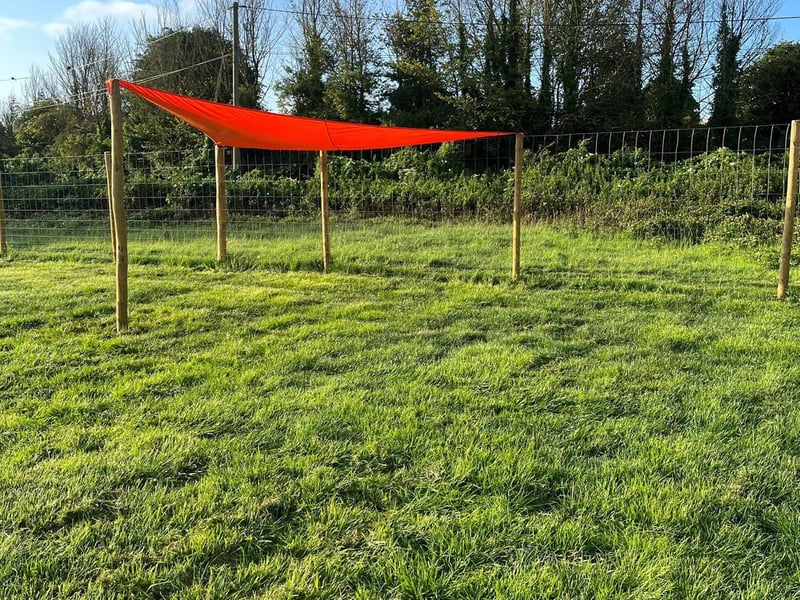 A canopy has been installed for dogs to cool off in the shade after playing.