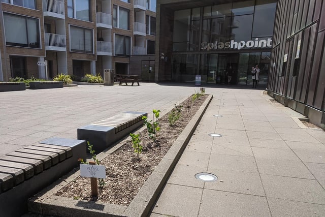 Ten shrubs have been planted outside Splashpoint Leisure Centre by the GoodGym to celebrate ten years