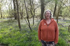 Elaine Hammond enjoying the bluebells on her six-mile circular walk from Ashington to the Wiston Estate