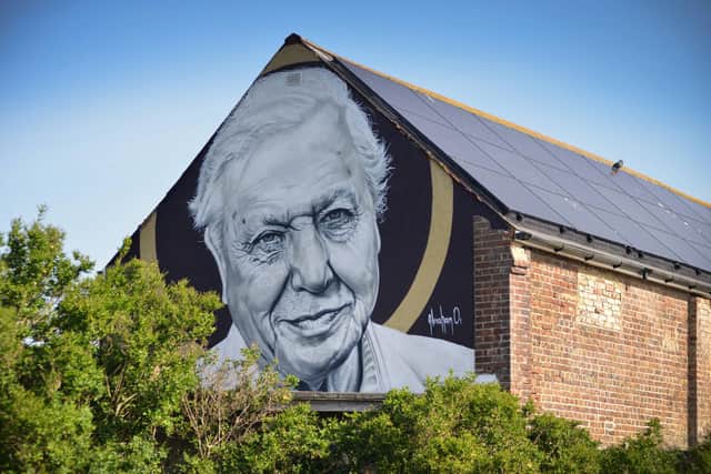Mural of Sir David Attenborough created by W.Ave Arts on the back of The Compound community centre in St Leonards.
