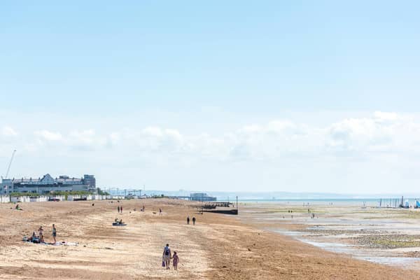 A picture from Goring Beach looking east towards Worthing Pier. Picture by James Pike