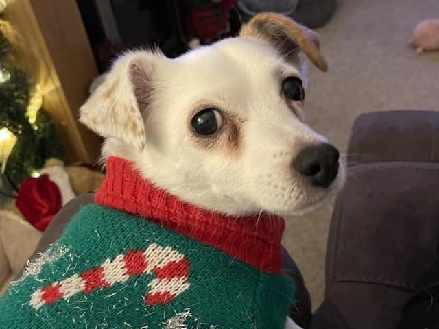 Sonny Miles, from Hastings, shared this adorable photo with us!