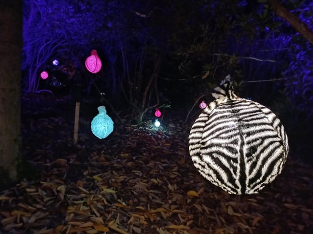 Leonardslee Illuminated is on now and runs on selected dates until December 21, 2023