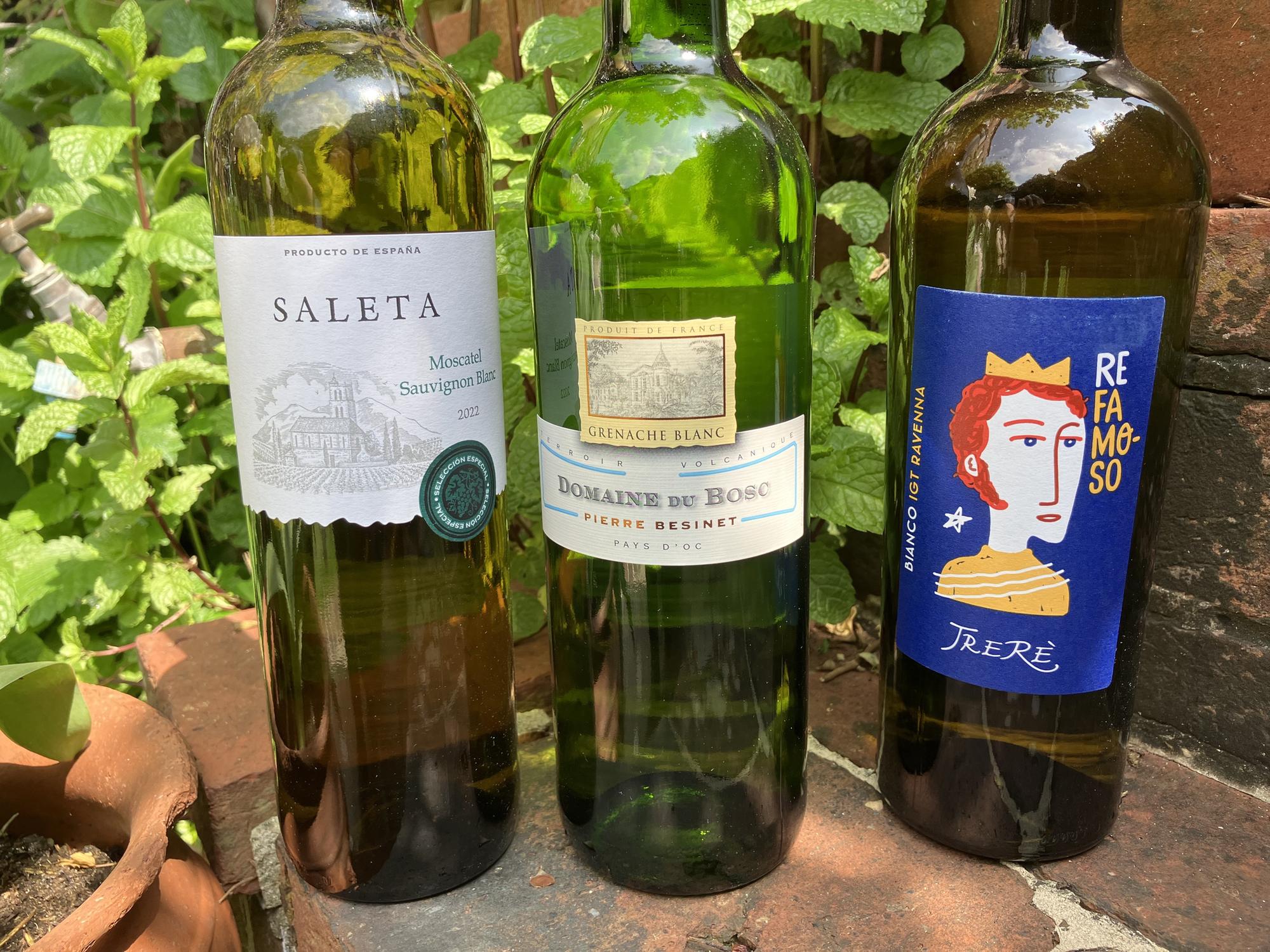 Three great value European white wines - Vimarsana News