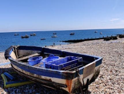 Positioned on the southwestern tip of Sussex, Selsey Bill provides an excellent vantage point to spot dolphins in their natural habitat, as they navigate the waters of the English Channel
