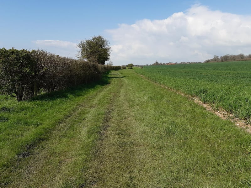 You walk ahead, with the hedge on your left and the rooftops of Clapham in view in the distance.