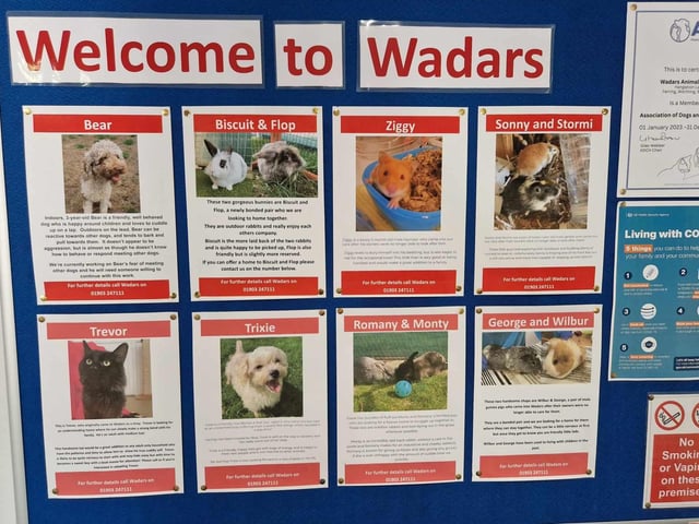 Wadars, which has operated in the Worthing area for more than 50 years, rescues and rehabilitates wild animals, in addition to rehoming cats, dogs and small animals as pets
