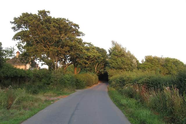 Langtye Lane in the village of Ripe. The section of the lane leading towards Mays Corner dates from Roman times when it was the southern boundary of the Roman field system. Photo: contributed