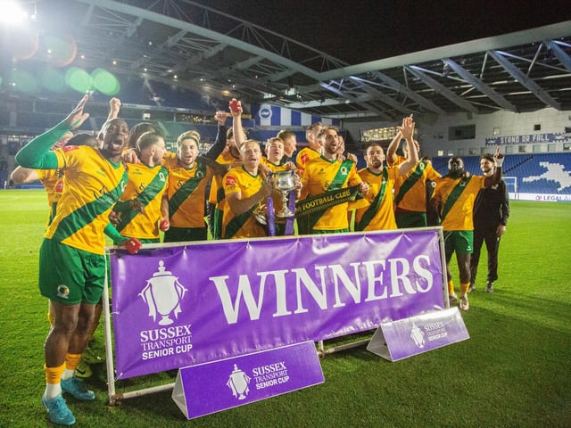 Horsham FC are champions of Sussex again after their last-gasp Sussex Transport Senior Cup final win over Littlehampton Town.
