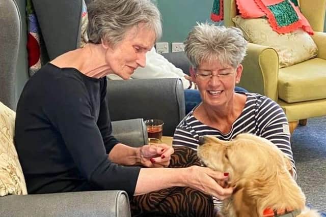 Visitor Val with a therapy dog