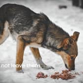 No soul left behind.