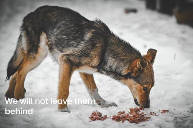 No soul left behind.