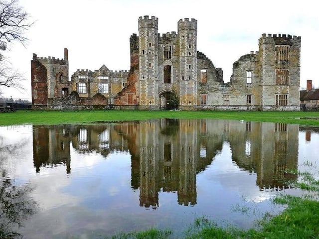 A walk around the ruins is featured on a number of dog walking websites. Picture: Steve Robards