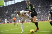 Tottenham Hotspur vs Brighton and Hove Albion