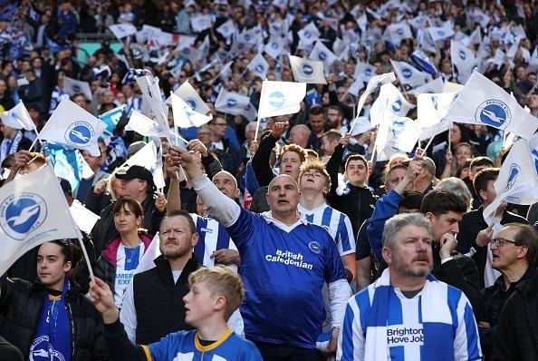 Seagulls at Wembley