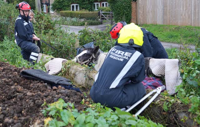 A technical rescue unit and vet were called to the scene with a horse became trapped between a concret block and fence in Coldwaltham.