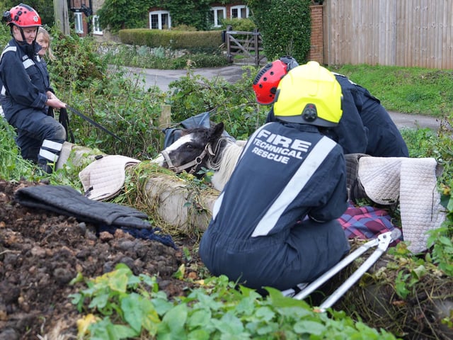 A technical rescue unit and vet were called to the scene with a horse became trapped between a concret block and fence in Coldwaltham.