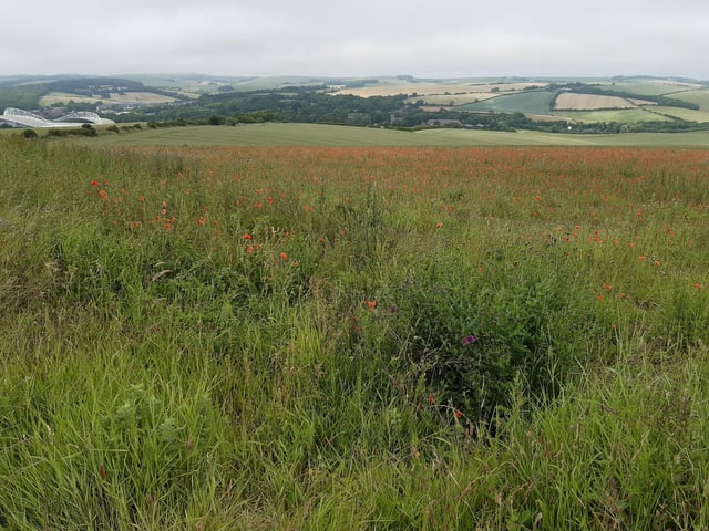 Look out for Brighton & Hove Albion's Amex Stadium in the distance and St Laurence's Church at Falmer