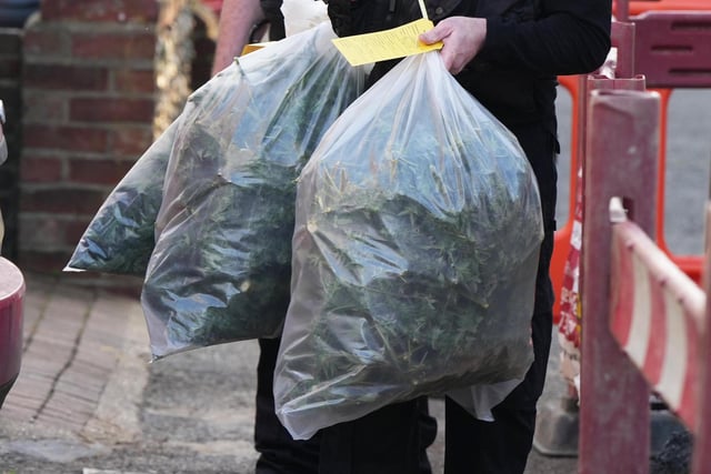 WEED FACTORY PURBECK PLACE LITTLEHAMPTON 100'S OF WEED PLANTS SEIZED