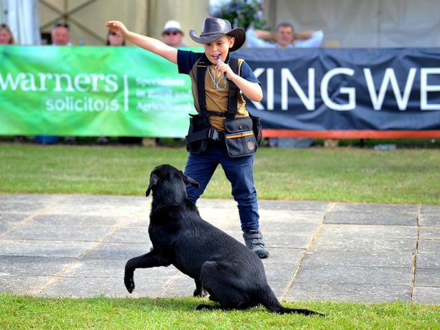 The South of England Show 2022 at Ardingly