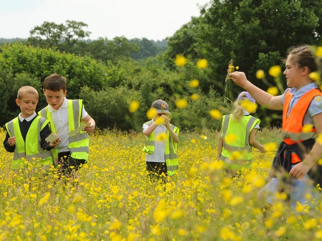 Children can enjoy a range of outdoor activities at Chesworth Farm, Horsham, RH13 0AA. The 90 acre farmland is great for walks and cycles with the family this summer holiday. The farm incorporates grassland, the River Arun, wet meadow and access to the countryside for a free day out in nature.