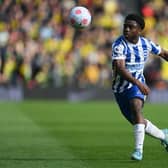 Brighton and Hove Albion ace Tariq Lamptey is set to represent Ghana at the Qatar World Cup