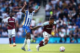 Brighton and Hove Albion have an impressive record against West Ham in the Premier League