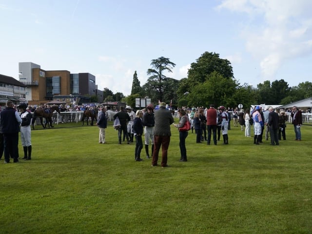 Evening racing at Fontwell Park, June 2025