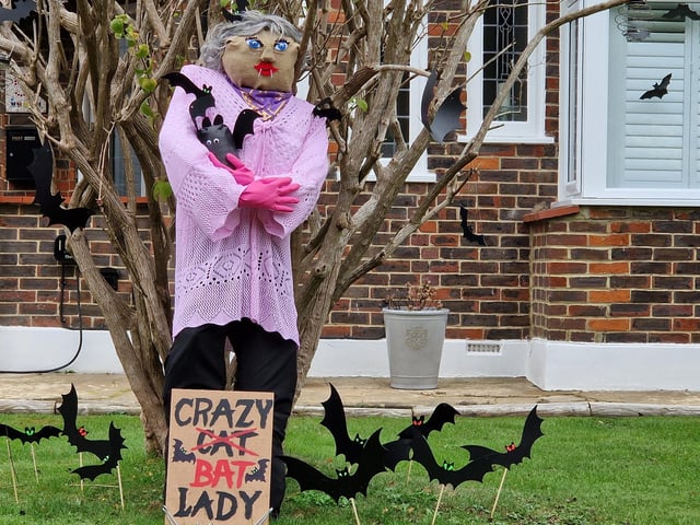 Ferring Scarecrow Festival 2026 features 127 scarecrows, the biggest yet, and Wadars Animal Rescue is the chosen charity this year