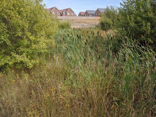 Mayflower Park in Angmering