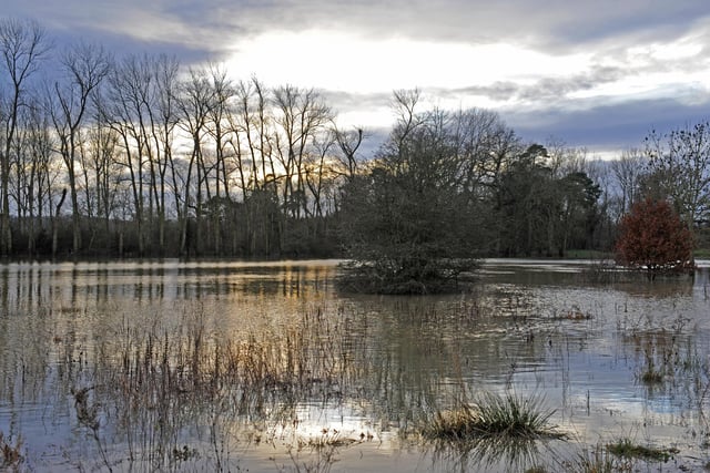 JPCT 311212 Flooded fields at Stopham. Photo by Derek Martin