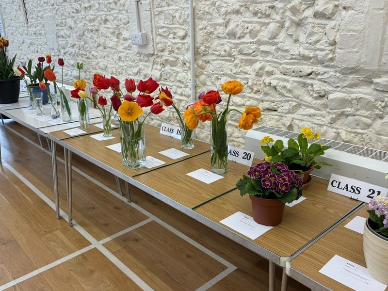 Tulips and other flowers on display at East Preston & Kingston Horticultural Society’s annual spring show