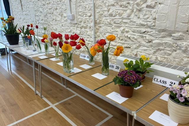 Tulips and other flowers on display at East Preston & Kingston Horticultural Society’s annual spring show