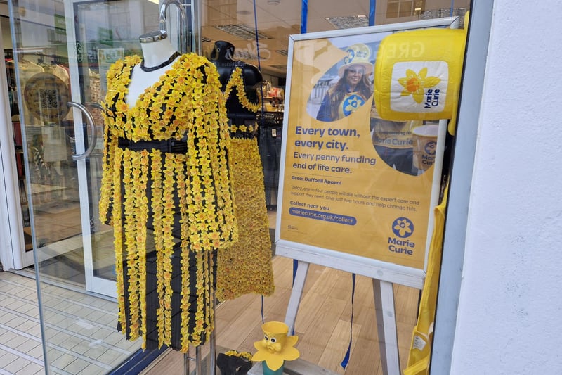 Daffodils are filling the window of the Marie Curie charity shop in Worthing town centre this March, highlighting the annual Great Daffodil Appeal, supported this year by actor James Nesbitt