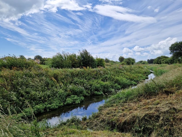 Ferring Rife – Take a trip to Ferring and visit the beach or walk along the banks of Ferring Rife, enjoying the wildlife and the views. Ferring Country Centre has a farm to visit and a restaurant