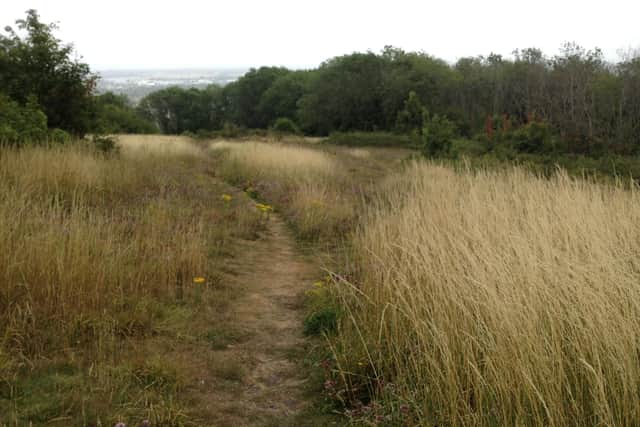 Butts Meadow