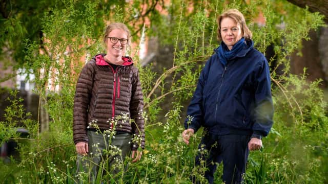 Councillor Penny Plant and Tree Project Officer Sophie Hamnett over see Chichester District Council's subsidised tree scheme. 