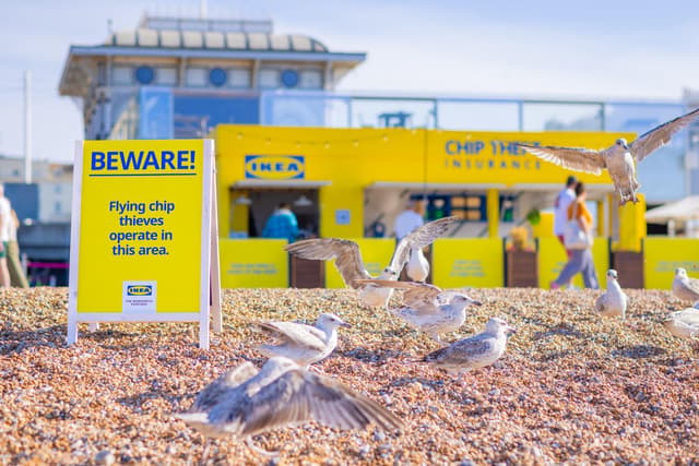 IKEA opens chip theft insurance kiosk on Sussex seafront amid new store's ...