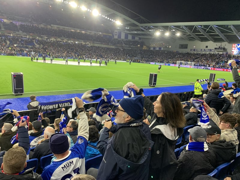 Albion fans waving their scarves in excitement.