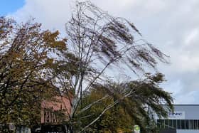 Strong winds battered Burgess Hill this morning (Monday, November 13)