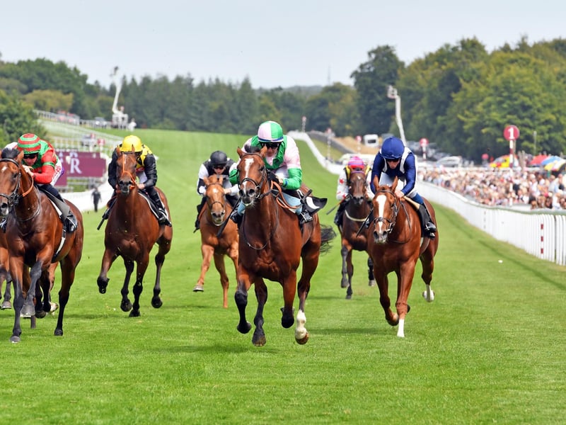 QATAR GOODWOOD THURSDAYGOODWOOD, CHICHESTERENGLANDJULY 28th 2022PHOTOGRAPHER: Malcolm Wells // NOTE: these are race results not necessarily who is in the picture //Meeting: QATAR GOODWOOD FESTIVAL MEETING THIRD DAYRace:SecondTime:2.25pm1st:Royal ScotsmanJockey:Jim Crowley2nd:Al KarrarJockey:Jack Mitchell3rd:ChateauJockey:William BuickPicture: Malcolm Wells Professional Photographer E: malcolmrichardwells@gmail.com:Images from Ladies' Day at Glorious Goodwood - the Qatar Goodwood Festival - in 2022