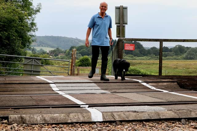 Chairman of the Amberley Society, Grahame Joseph and Labrador Izzie, using the crossing with its improved safety features