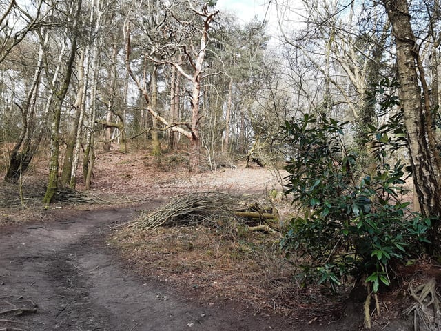 Follow the path round and up the hill into Sullington Warren.