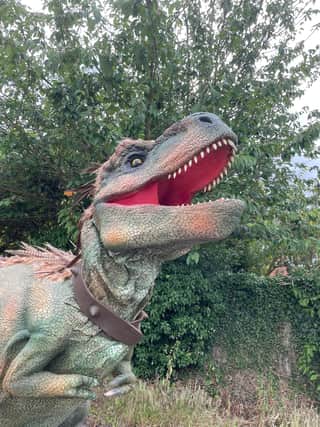 Dinosaurs will be taking over Chichester this summer with a brand new Dino Trail running across the city centre from July 25 to August 21 and a special Jurassic Chichester Dino Day on Saturday  August 13 on the Cathedral Green.
