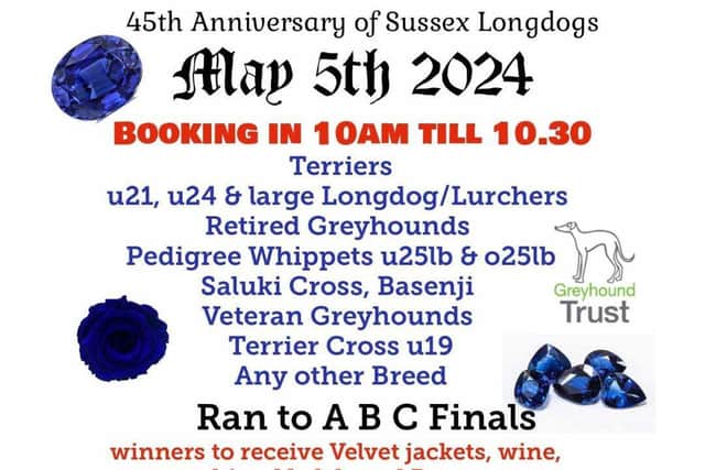 45 Years of Sussex Longdogs at Broad Farm.