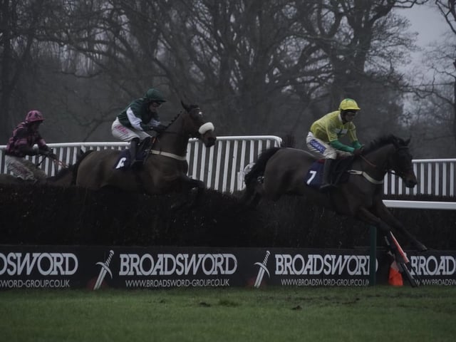 January jump racing at Fontwell Park, 2025