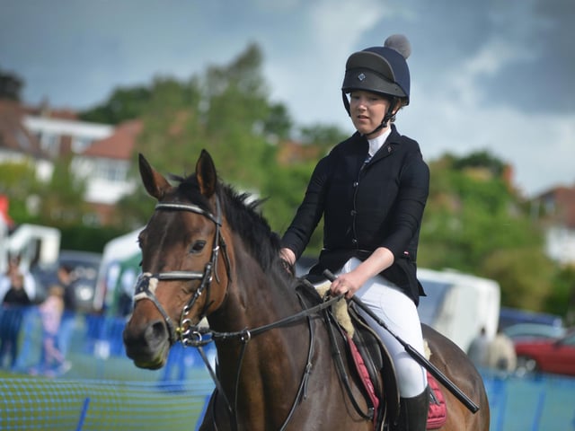 Bexhill Horse & Dog Show 2024.
