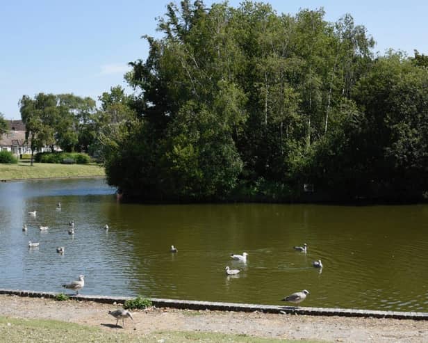 Hailsham Common Pond, Bellbanks Road